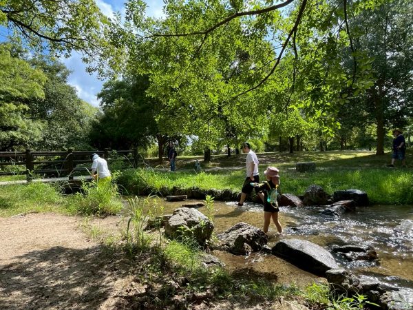 2025/08/03　ビーバー隊「水」